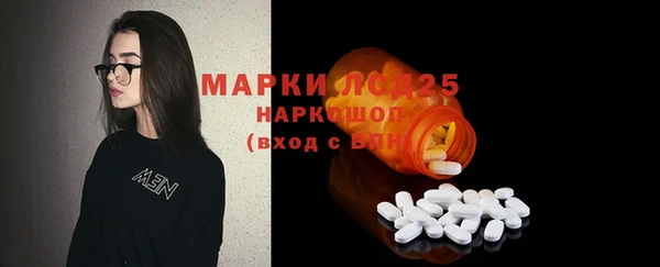 индика Баксан