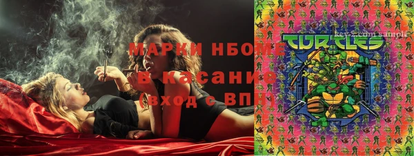 индика Баксан