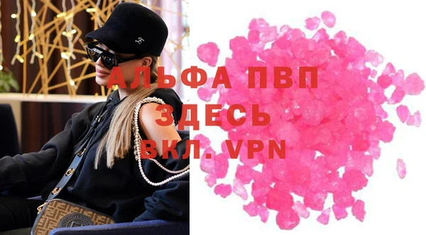 индика Баксан