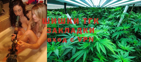 амф Саяногорск